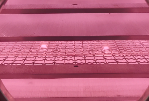 真空妖精视频网页版機