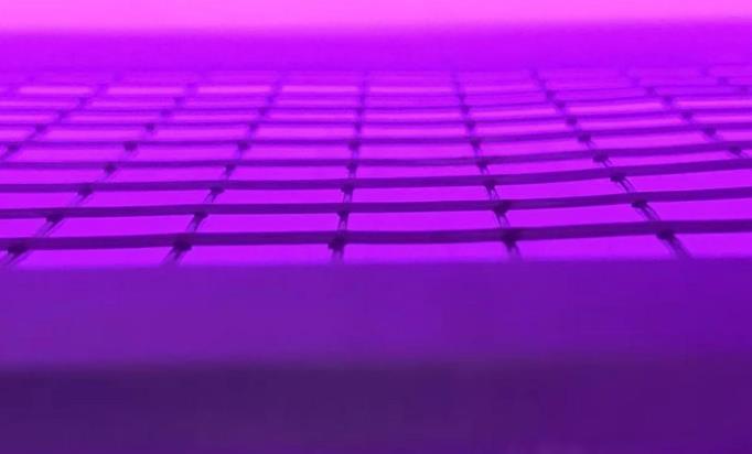 真空妖精视频网页版機