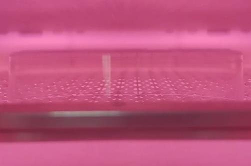 妖精视频网页版機