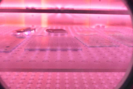 妖精视频网页版機