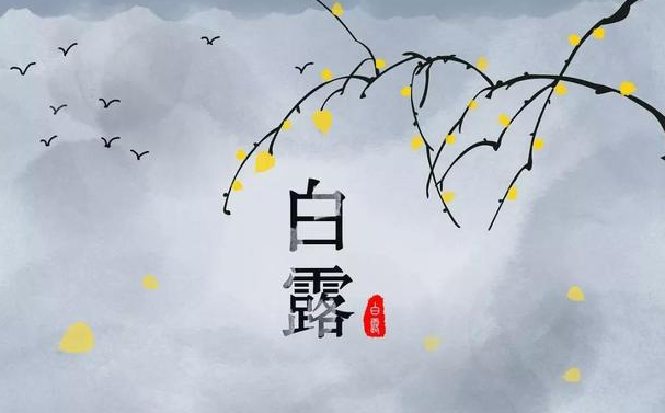 今迎白露，盛夏退場-妖精视频大全免费妖精视频网页版機