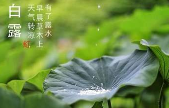 今迎白露，盛夏退場-妖精视频大全免费妖精视频网页版機